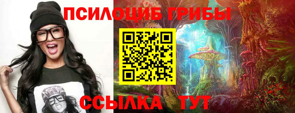 Сосновый Бор  Галлюциногенные грибы мицелий  Вход с VPN  Галлюциногенные грибы мухоморы 