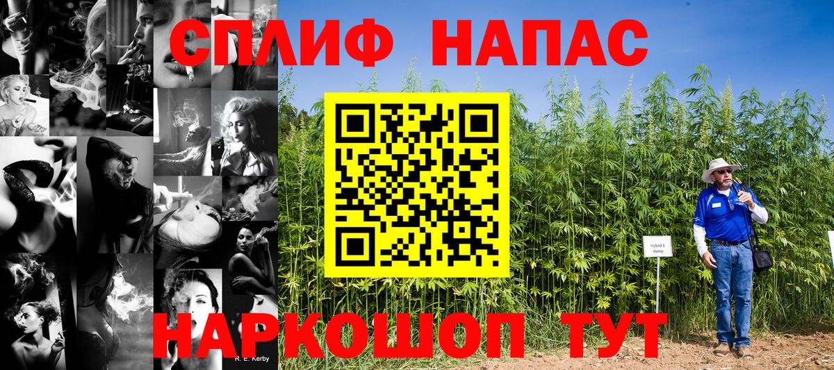 Сосновый Бор  Каннабис семена  Вход с VPN  Бошки Шишки марихуана  Канабис индика 